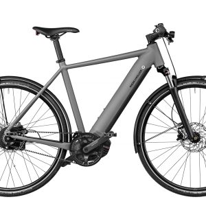 Riese & Müller Roadster Vario Grey Matte