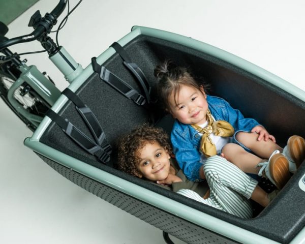 Urban Arrow Family Performance Plus Green