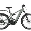 Riese&Müller, Delite4 GT Vario